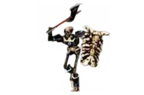 Chief Skeleton Warrior 5