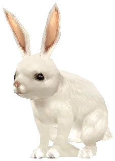 Lunar Rabbit